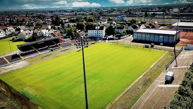 球迷和球队 球迷和球队