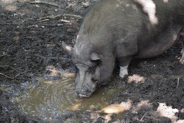 即将到来的 即将到来的
