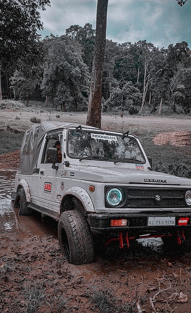 仍在滚动 仍在滚动