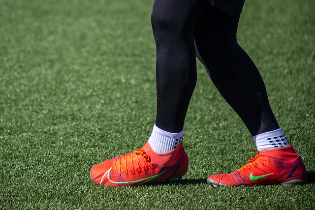 系和对细节 系和对细节