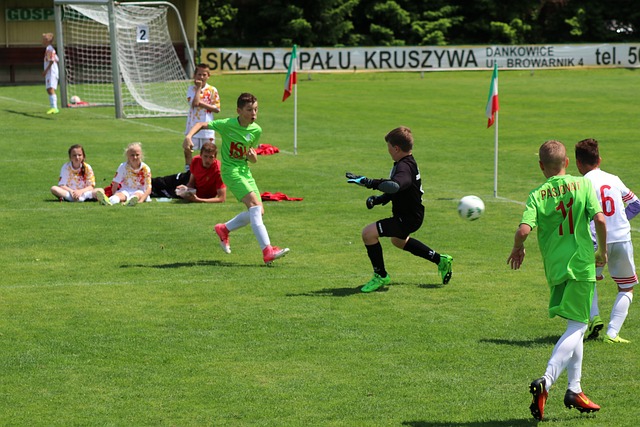 内阁改组 内阁改组